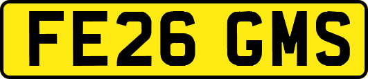 FE26GMS
