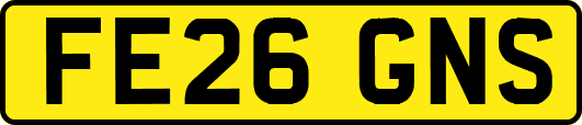 FE26GNS