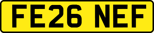 FE26NEF