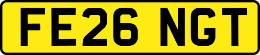 FE26NGT