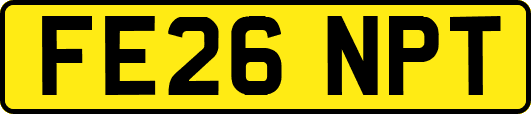 FE26NPT