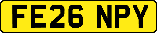 FE26NPY