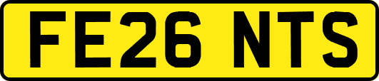 FE26NTS