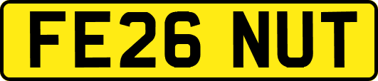 FE26NUT