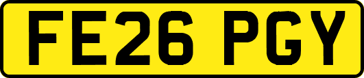 FE26PGY