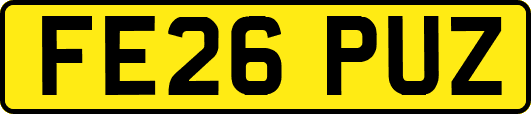 FE26PUZ
