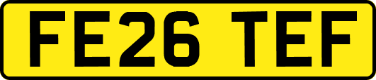 FE26TEF