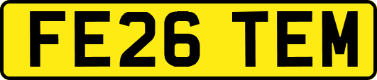 FE26TEM