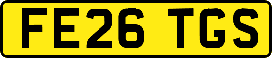 FE26TGS