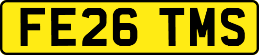 FE26TMS