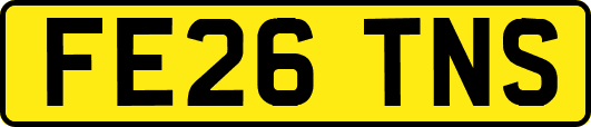 FE26TNS