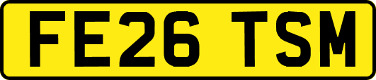 FE26TSM
