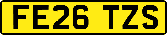 FE26TZS