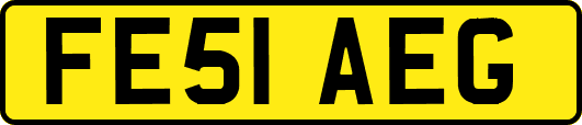 FE51AEG