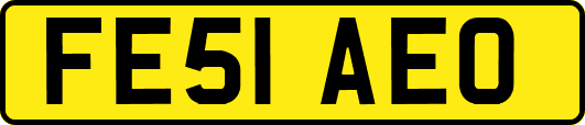 FE51AEO