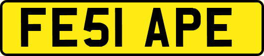 FE51APE