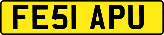 FE51APU