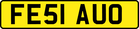 FE51AUO