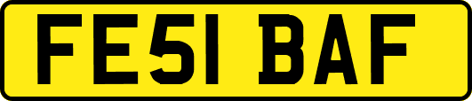 FE51BAF