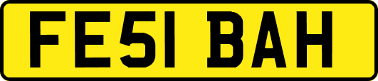 FE51BAH