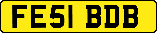 FE51BDB