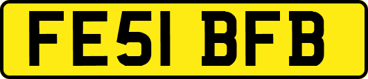 FE51BFB