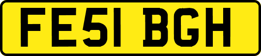 FE51BGH