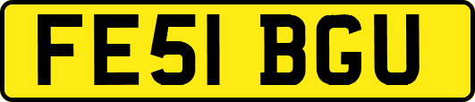 FE51BGU