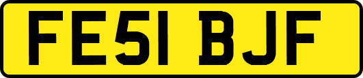 FE51BJF