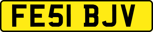 FE51BJV