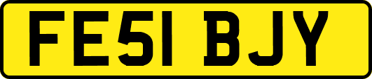 FE51BJY