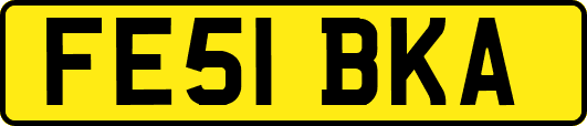 FE51BKA