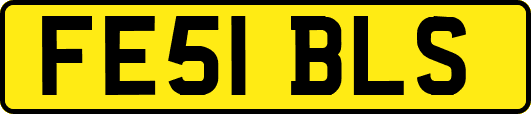 FE51BLS