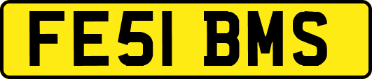 FE51BMS