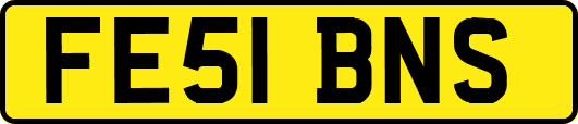 FE51BNS