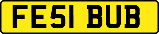 FE51BUB