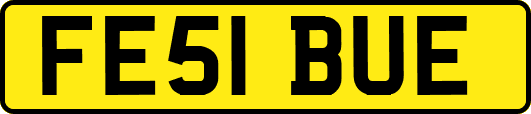FE51BUE