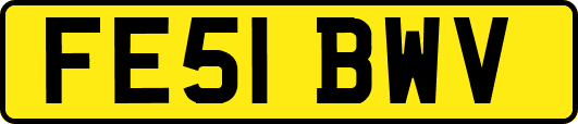 FE51BWV