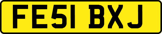 FE51BXJ