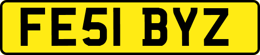 FE51BYZ