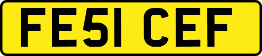 FE51CEF