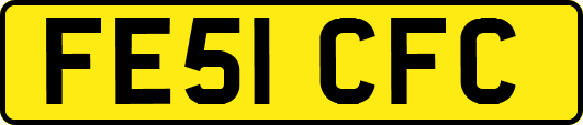 FE51CFC