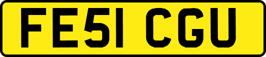 FE51CGU