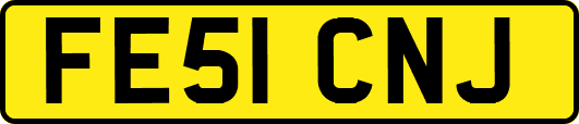 FE51CNJ