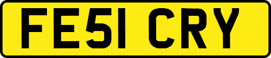 FE51CRY