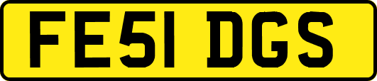 FE51DGS