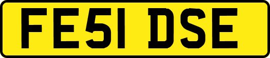 FE51DSE