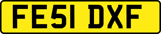 FE51DXF