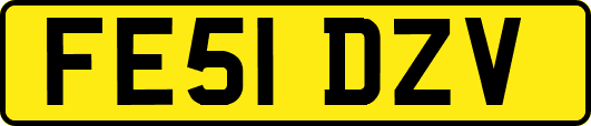 FE51DZV