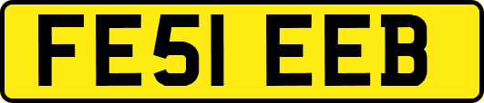 FE51EEB